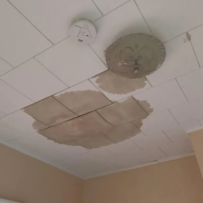 Ceiling Water Damage Repair in Castle Point, MO