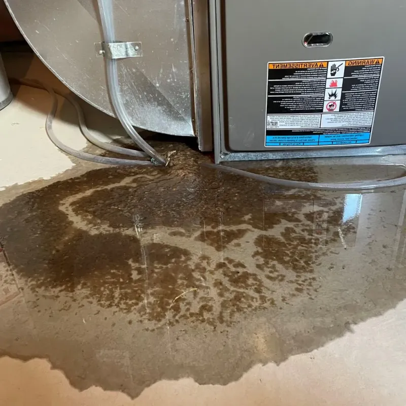 Pipe Burst and Leak Restoration in Castle Point, MO