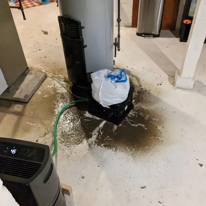 Sewage Backup Cleanup Service in Castle Point, MO